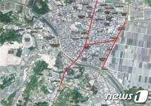 함양군, 산삼엑스포 대비 시가지 가로수 정형화 사업