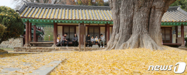 노란 카펫 깔린 전주 향교