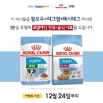 해피펫-로얄캐닌 반려동물에게 등록증 선물해주세요