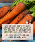 [카드뉴스][건강N쿡] 겨울철 면역력 향상! 땅의 기운을 머금은 뿌리채소