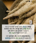 [카드뉴스][건강N쿡] 겨울철 면역력 향상! 땅의 기운을 머금은 뿌리채소