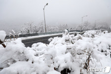 눈 쌓인 강원 미시령 고개