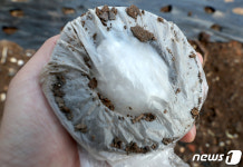 쇳가루 공포 사월마을, 이르면 2021년 집단이주 가능