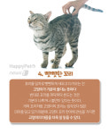[펫카드] 고양이가 행복할 때 하는 행동 5가지