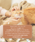 [펫카드] 고양이가 행복할 때 하는 행동 5가지