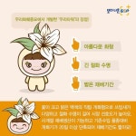 [카드뉴스] ‘나리’라 불리는 백합, GSP 개발 품종 백합 ‘우리타워’
