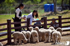 영월 펫힐링 달빛동물원 겨울 이벤트 진행…할인·체험 등 다채