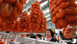 지리산 곶감 초매식