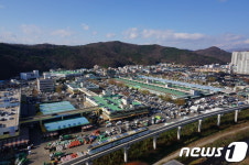 대구 농수산물도매시장 30여년만에 확장…2023년까지 현대화