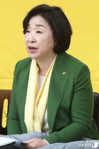 발언하는 심상정 대표