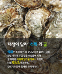 [카드뉴스] 석화와 굴, 뭐가 다를까?