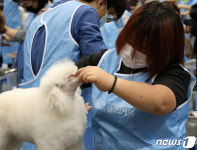 오늘 꽃단장 해요