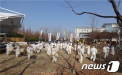 울산쇠부리소리, 울산시 무형문화재 제7호 지정