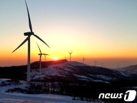 새해 해돋이는 삼양목장에서…새해 이벤트 풍성