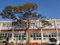 중진공, 멀쩡한 본사 두고 시골초등학교서 시무식…무슨 사연이?
