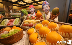 설 선물, 이색 과일 세트로 나누세요