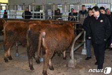 주낙영 시장, 경주 브랜드 천년한우 신뢰 노력 당부