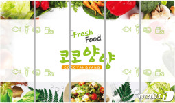 양양군 웰컴센터 농특산물 판매장 코코양양 19일 개장