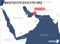 청해부대 작전지역 호르무즈까지 확대…독자 작전 형식(종합)