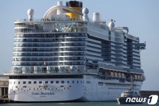 신종 코로나로 세계 최대 크루즈 선사 주가 뚝