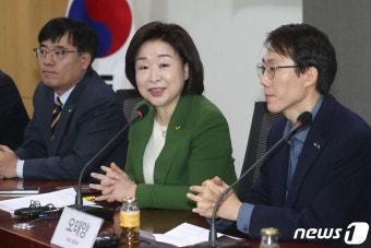 발언하는 심상정 대표