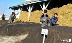 농사 준비하는 北 주민들…풍요한 가을 안아올 일념