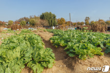송파구, 주말농장 솔이텃밭 경작자 모집…임차료 7만원