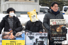 개·고양이 식용 종식을 염원합니다