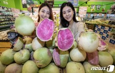 롯데마트 빨간 속이 특징, 제주 우도 과일무 판매