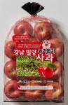 밀양 못난이 사과 팝니다…롯데마트, 태풍 피해 농가 도와