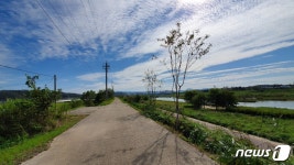 파주시, 공릉천 제방에 ‘명품 가로수길’ 조성