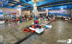 여기가 죽도 어시장 맞아요