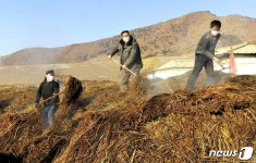 농사 준비도 마스크 끼고…북한 평원협동농장 노동자들