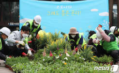 꽃향기 가득한 송파구청 정원