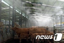 정읍시, 미세먼지 대비 가축·축사관리 주의 ‘당부’