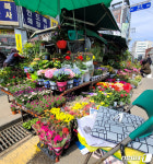코로나19에 로맨틱 화이트데이 사라지나?