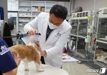 동물들도 암 치료 시대…사람과 함께 건강하게 살도록 도울 것