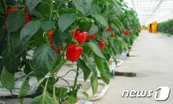강진군, 원예분야 수출전문단지 2곳 최우수 선정