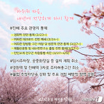 창원시, 진해군항제 방문객 통제에 ‘초강수’