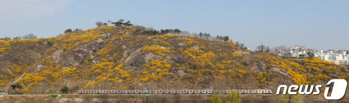 봄기운 가득 담아