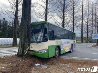 보성군내버스 순천서 가로수 충돌…5명 부상 병원 이송
