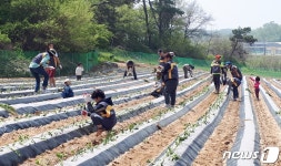 [중부소식] 괴산군, 감물 다함께돌봄센터 운영 민간위탁자 모집