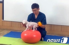 강아지와 펫트니스 74.5도씨, 센트럴동물메디컬센터와 맞손