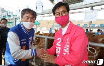 악수나누는 구미을 김현권-김영식 후보