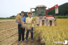 동해시, 학교급식용 친환경 쌀 재배단지 54.4㏊ 조성