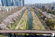 이번 주말도 양재천 전구간 폐쇄…서초·강남구 8.55km 등