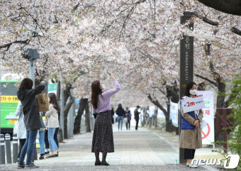 '사전투표·벚꽃절정·부활절' 3대고비…