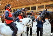 북한 미림승마구락부, 승마 환경 개선