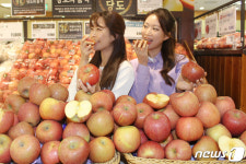 갓 따온 그대로 사과 맛보세요