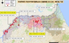 연천·화천 멧돼지서 돼지열병 바이러스 검출…548마리째